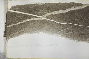 Plane Polarized, S39849