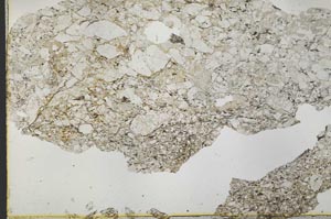 Plane Polarized, S39850