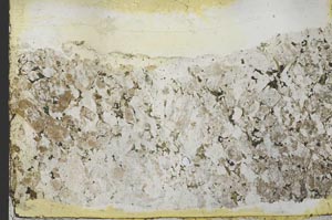 Plane Polarized, S39851