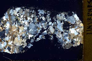 Cross Polarized, S39853