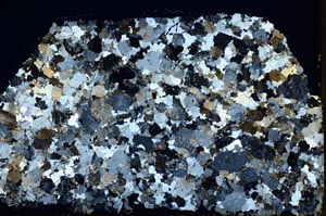 Cross Polarized, S39854