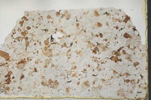 Plane Polarized, S39854