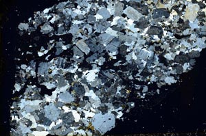 Cross Polarized, S39855