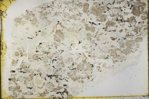 Plane Polarized, S39855