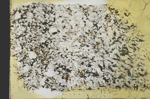 Plane Polarized, S39856