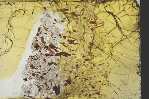 Plane Polarized, S39858