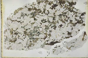Plane Polarized, S39864