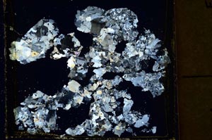 Cross Polarized, S39871