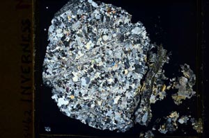 Cross Polarized, S39873