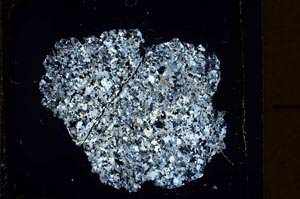 Cross Polarized, S39874