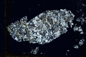 Cross Polarized, S39876