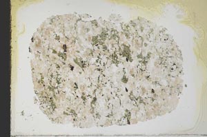 Plane Polarized, S39877