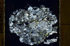 Cross Polarized, S39878