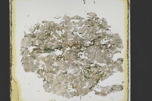 Plane Polarized, S39878