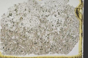 Plane Polarized, S39879