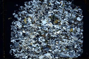 Cross Polarized, S39880