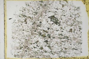 Plane Polarized, S39880