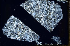 Cross Polarized, S39887