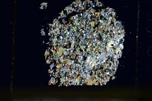 Cross Polarized, S39894