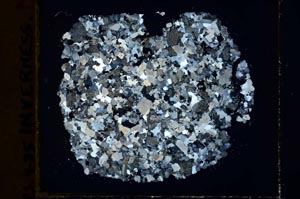 Cross Polarized, S39895