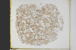 Plane Polarized, S39895