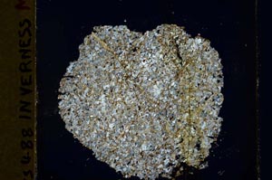 Cross Polarized, S39898