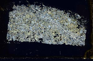 Cross Polarized, S39901