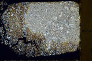 Cross Polarized, S39902