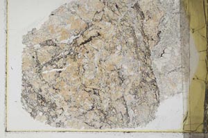 Plane Polarized, S39903