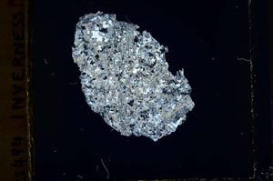 Cross Polarized, S39904