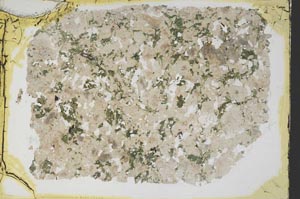 Plane Polarized, S39906