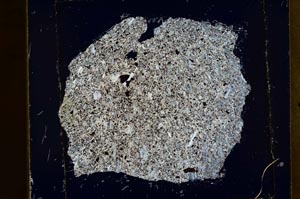 Cross Polarized, S39937