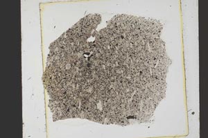 Plane Polarized, S39937