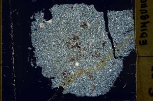 Cross Polarized, S39938