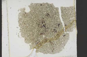 Plane Polarized, S39938