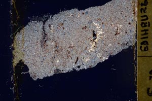 Cross Polarized, S39939