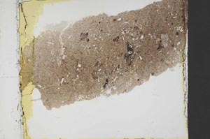 Plane Polarized, S39939