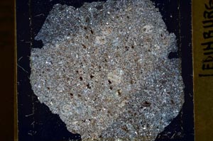 Cross Polarized, S39940