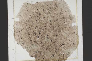 Plane Polarized, S39940