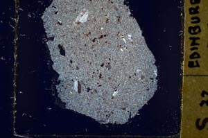 Cross Polarized, S39941