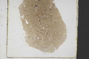 Plane Polarized, S39941