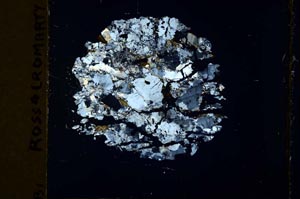 Cross Polarized, S39962