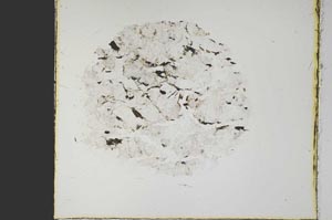 Plane Polarized, S39962