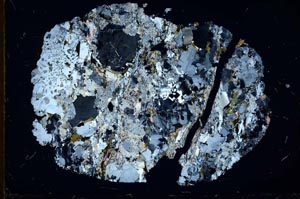 Cross Polarized, S39963