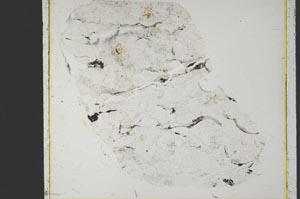 Plane Polarized, S39964