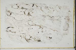 Plane Polarized, S39965