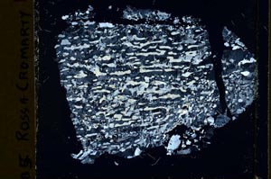 Cross Polarized, S39966