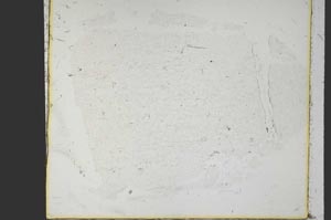 Plane Polarized, S39966