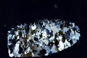 Cross Polarized, S39971