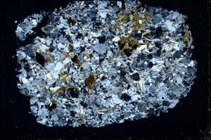 Cross Polarized, S39973